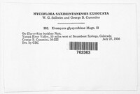 Image Associated With the Occurence